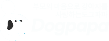 부모의 마음으로 강아지를 사랑하는 도그파파 Dogpapa 메인