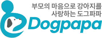 부모의 마음으로 강아지를 사랑하는 도그파파 Dogpapa 메인